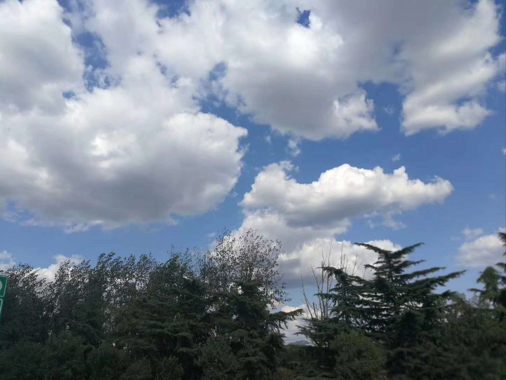 �����ٷ���ҳ������̬ũ�������´���