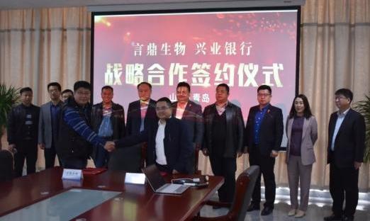 �������� ʵ�ֹ�Ӯ���������ൺ�����ٷ���ҳ������������ҵ��������֧��ǩ��ս�Ժ���Э��