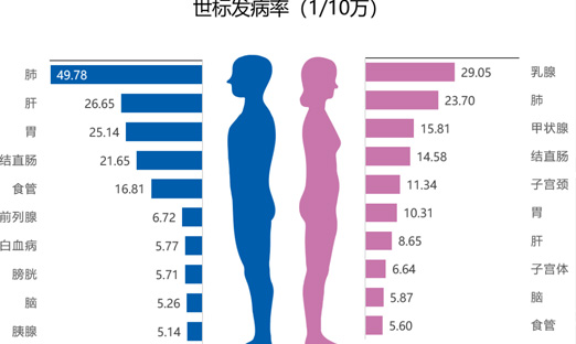 ���Ұ�֢���ģ�2022�����°�֢����