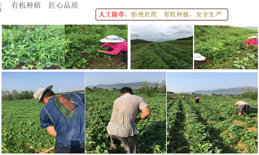 ��ɽ�������ٷ���ҳ������Ȫũҵ�Ƽ����޹�˾���������ٻ�ɽ��ʡ�����ִ�ũҵ�Ƽ���ģ����