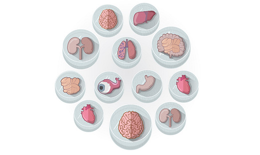 ��ѧ�����ڰ������������оƬ