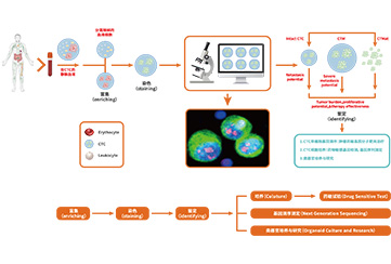 ϸ��Һ�������յ�Ӧ�ó���