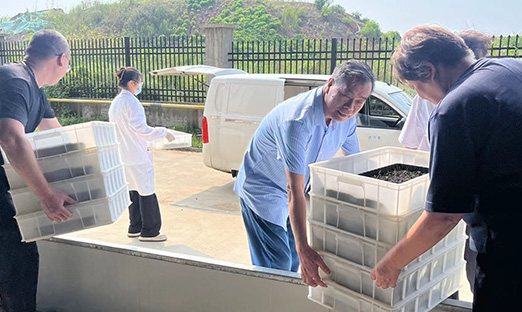 ���˹�����ҵ�������ٷ���ҳ��������������ʽת�����